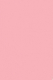 PMS 1767 Pink Thermal Transfer Floodcoated Color Labels | Full